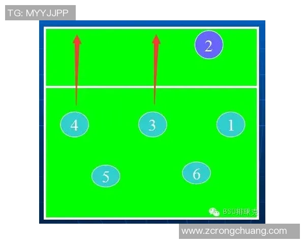 成都排球队意识对比深度解析与战术演变探讨