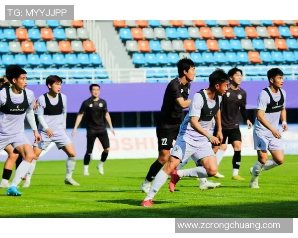 深入分析杭州足球队阵地战战术特点与执行策略